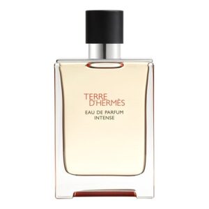 TERRE D HERMES EDP INTENSE 100 ML