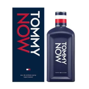 TOMMY HILFIGER TOMMY (M) EDT 100ML